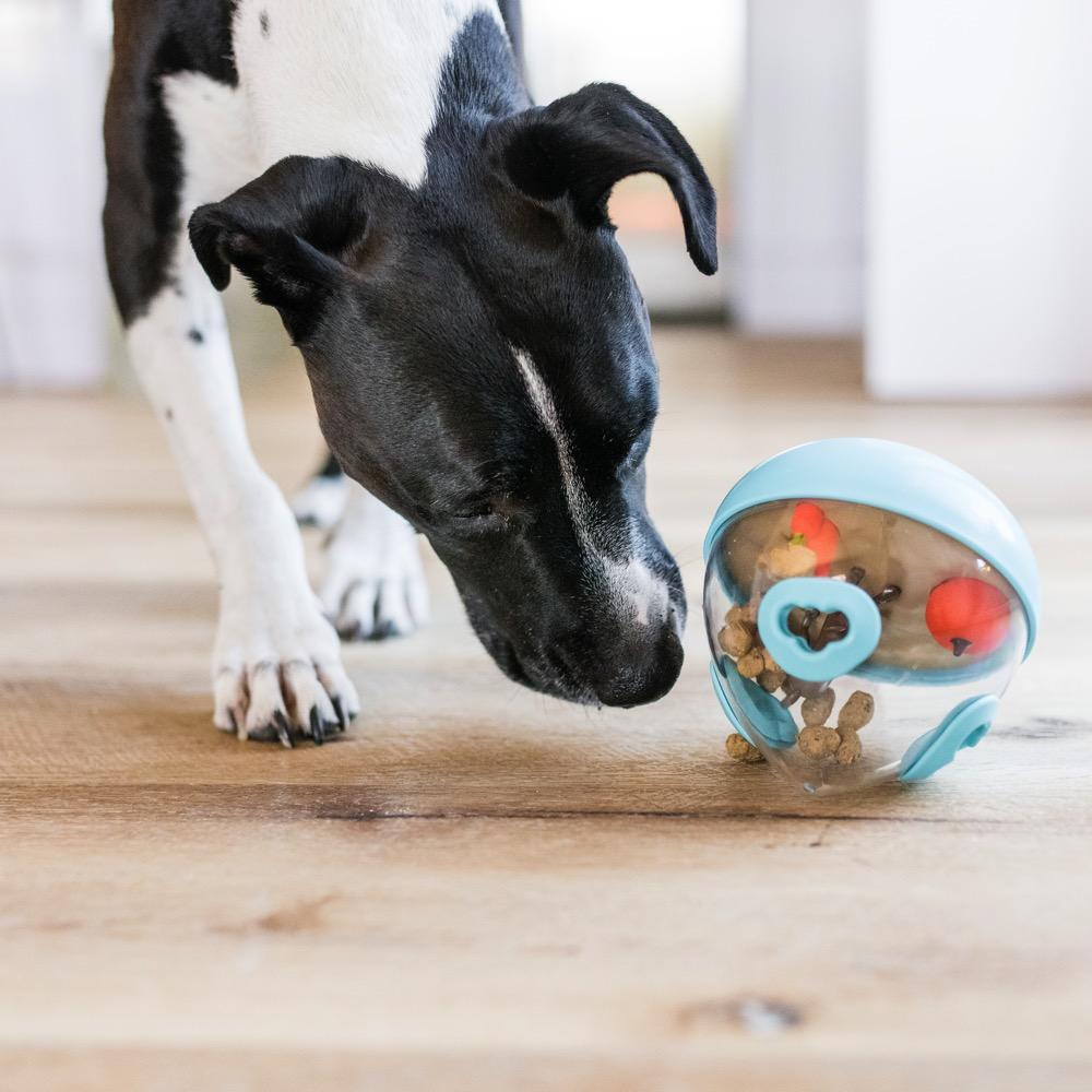 Wobble Ball 2.0 Dog Treat Dispenser Toy (Orange) from PLAY - The