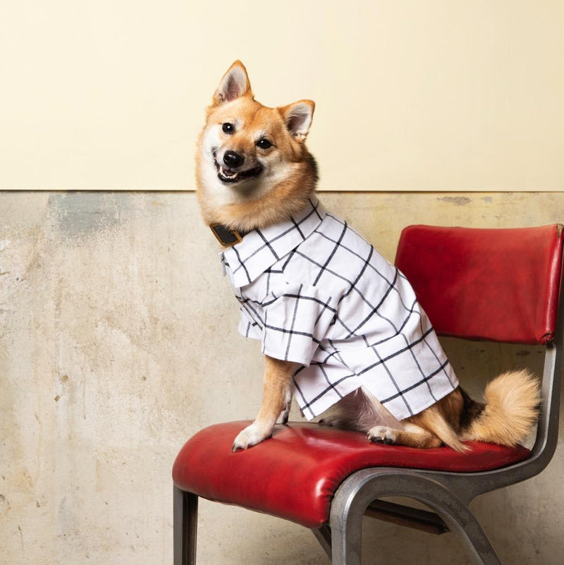 Commuter Flannel Shirt Dog Threads 