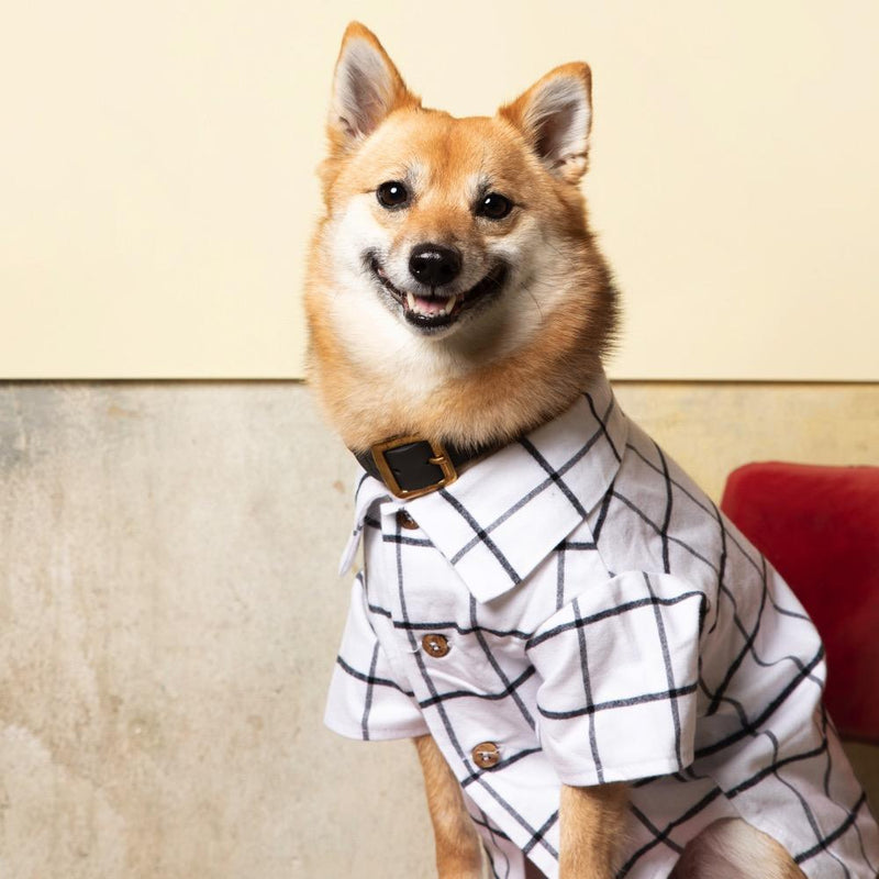 Commuter Flannel Shirt Dog Threads 