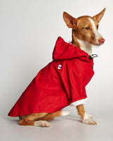 doggie raincoats