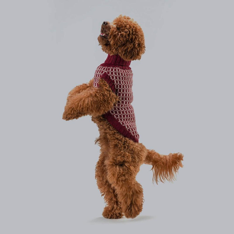 Festive Red Alpaca Dog Sweater Alqo Wasi 