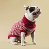 Festive Red Alpaca Dog Sweater Alqo Wasi 