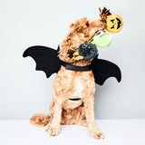 Halloween Bat Wings DoggySquad London 