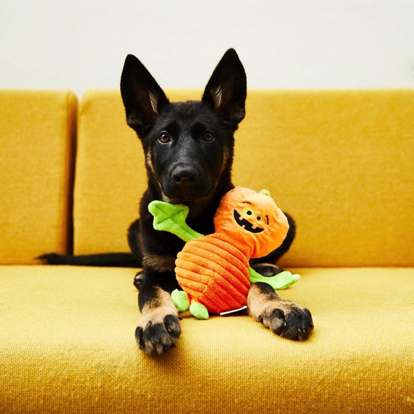 Halloween Pumpkin Toy DoggySquad London 