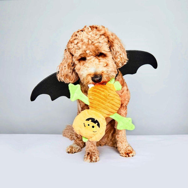 Halloween Pumpkin Toy DoggySquad London 