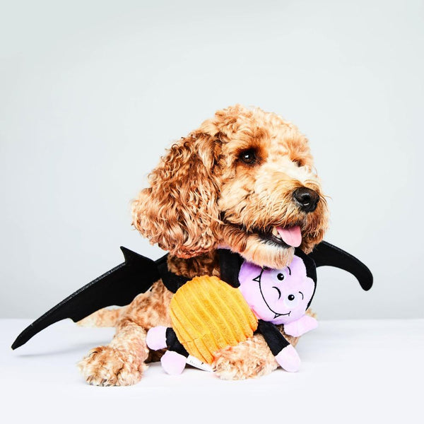 Halloween Vampire Toy DoggySquad London 