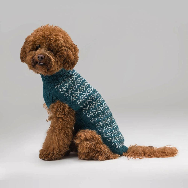 Holiday Alpaca Dog Sweater Alqo Wasi 