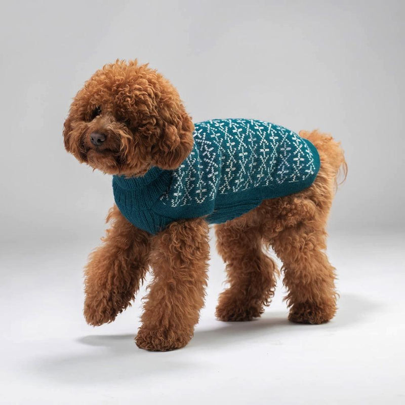 Holiday Alpaca Dog Sweater Alqo Wasi 