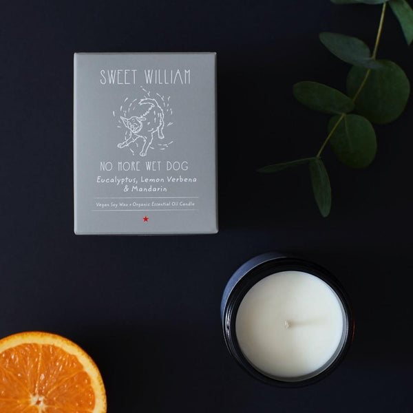 No More Wet Dog Candle Sweet William 