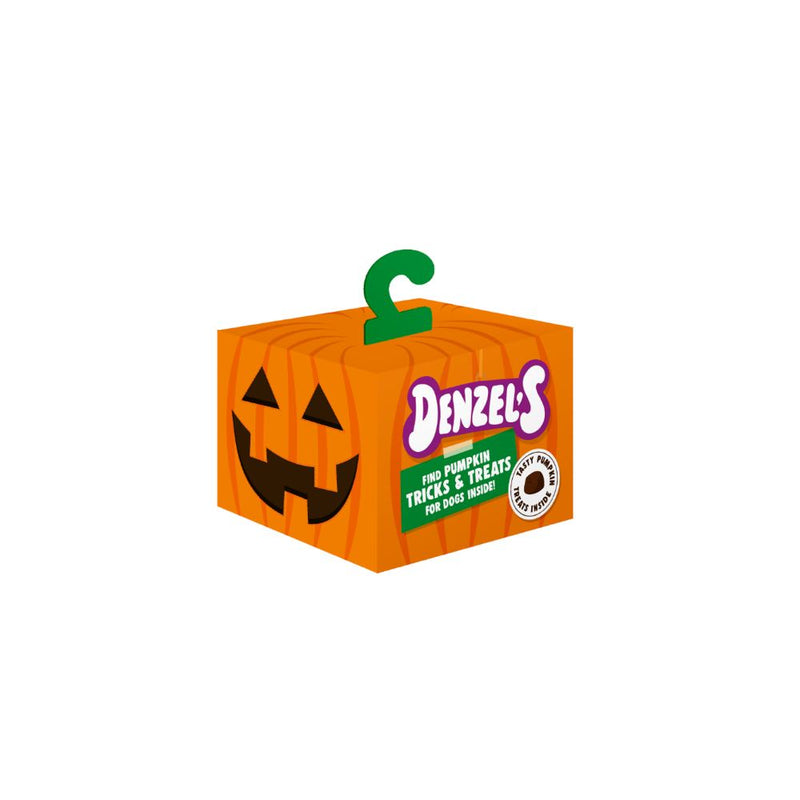Pumpkin Jack '0' Lantern Denzel's 