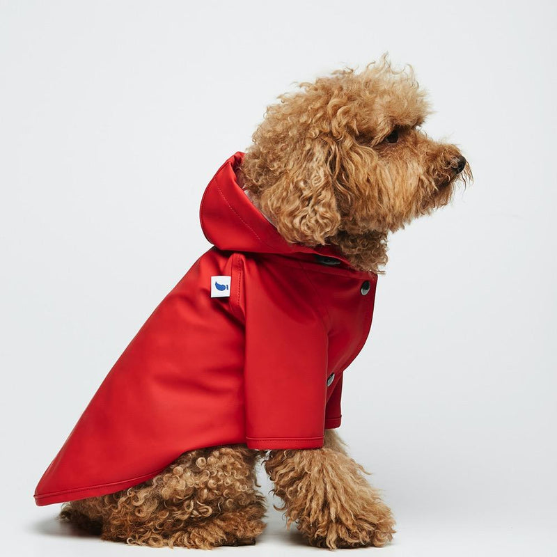 Raincoat Sarah Eco Friendly The Painter's Wife 10 (e.g. Toy Poodle) Red 