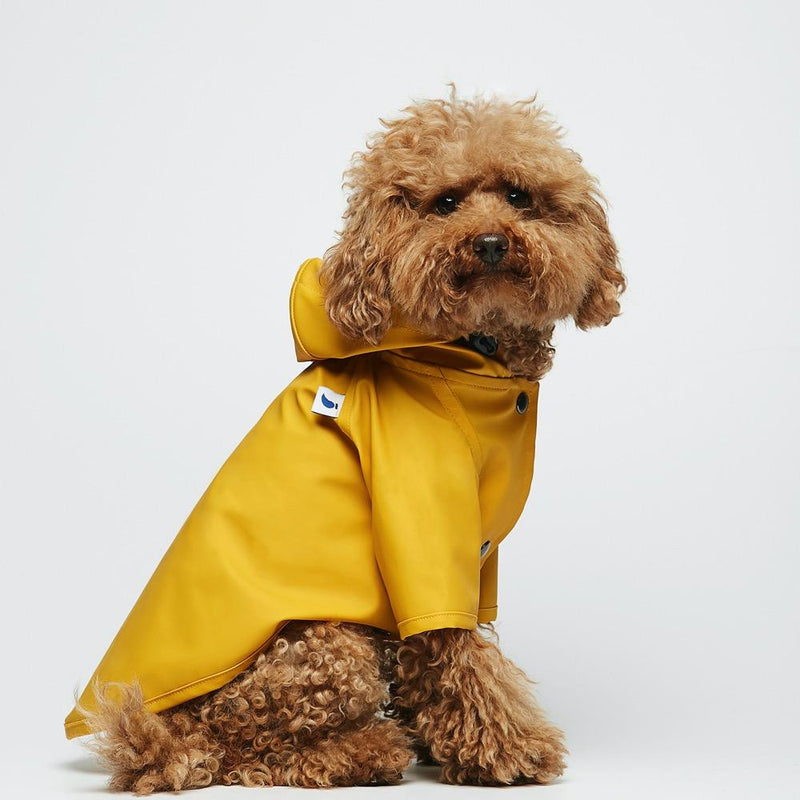 Raincoat Sarah Eco Friendly The Painter's Wife 10 (e.g. Toy Poodle) Yellow 