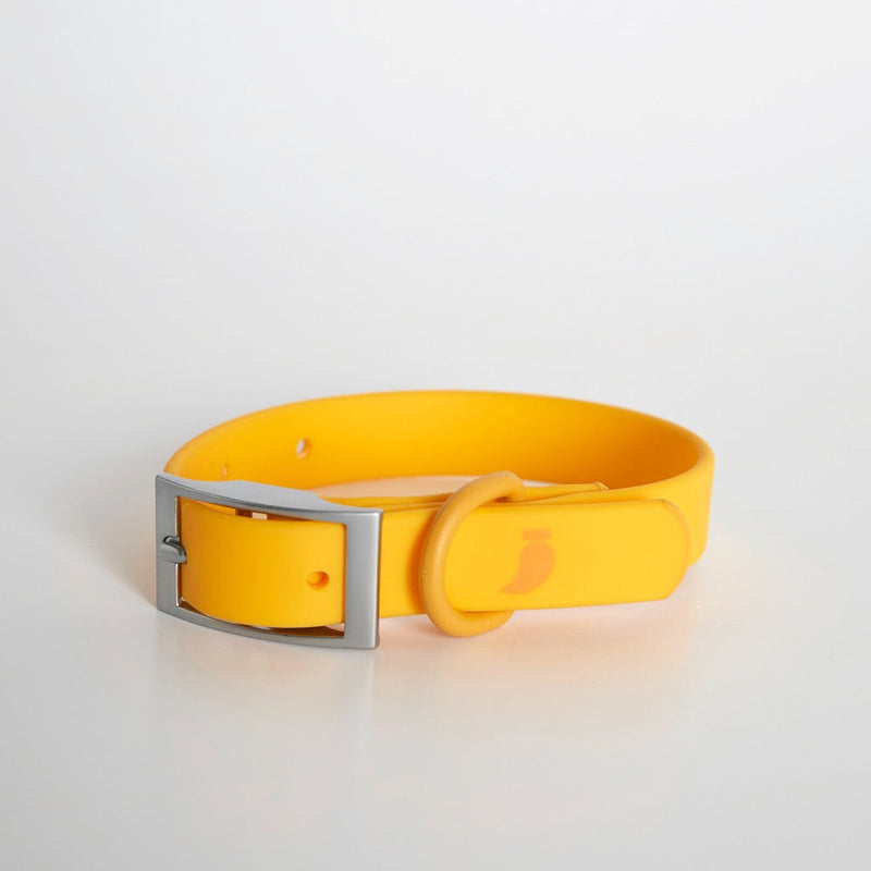 Rose Collar The Painter's Wife XS Yellow 