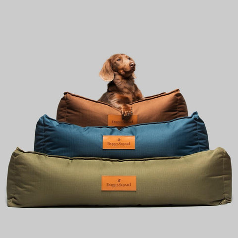 Big w best sale dreamtime dog bed