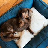 Sweet Dreams Luxury Dog Bed DoggySquad London 