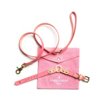 Timeless Dog Collar and City Lead Set DoggySquad XS Baby Pink 